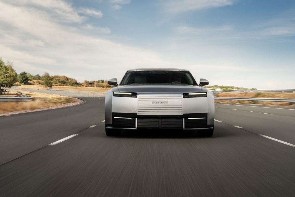 Kolumne: Eine Katze, sieben Leben, ein Versuch